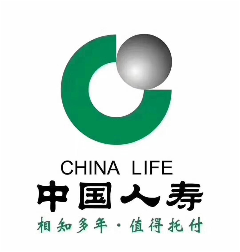 中国人寿保险公司岳西支公司的图标