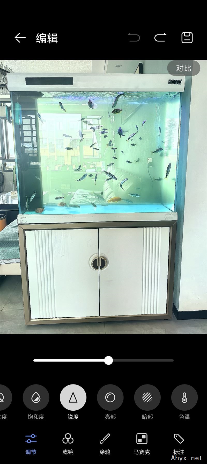 鱼缸
