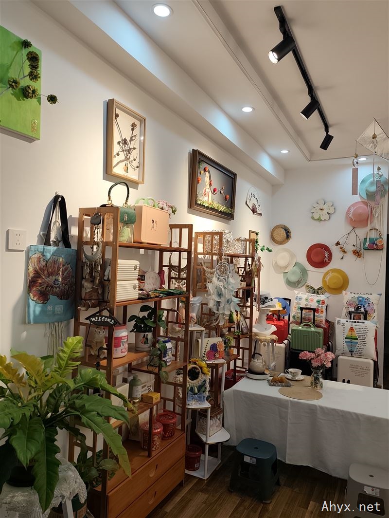 岳西美学空间转租