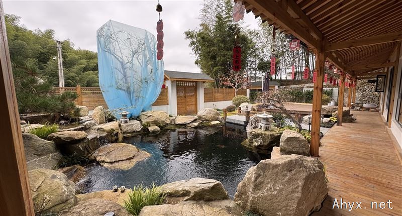 招聘锦鲤鱼池主播