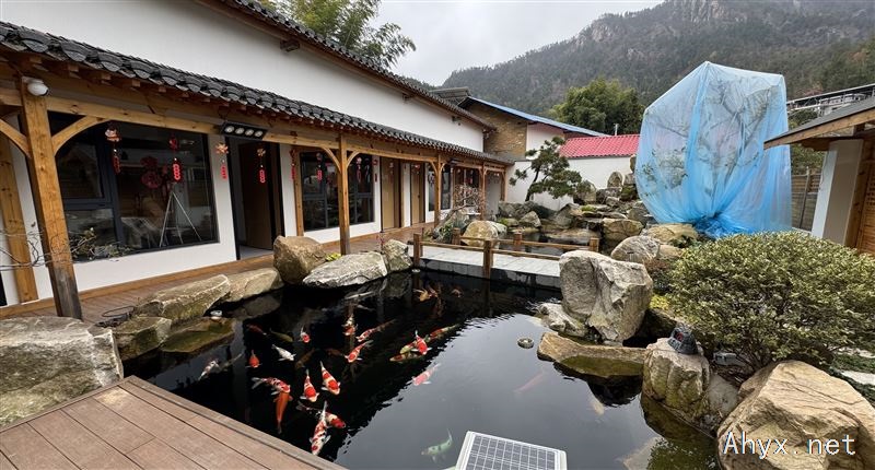 招聘鱼池短视频拍摄剪辑