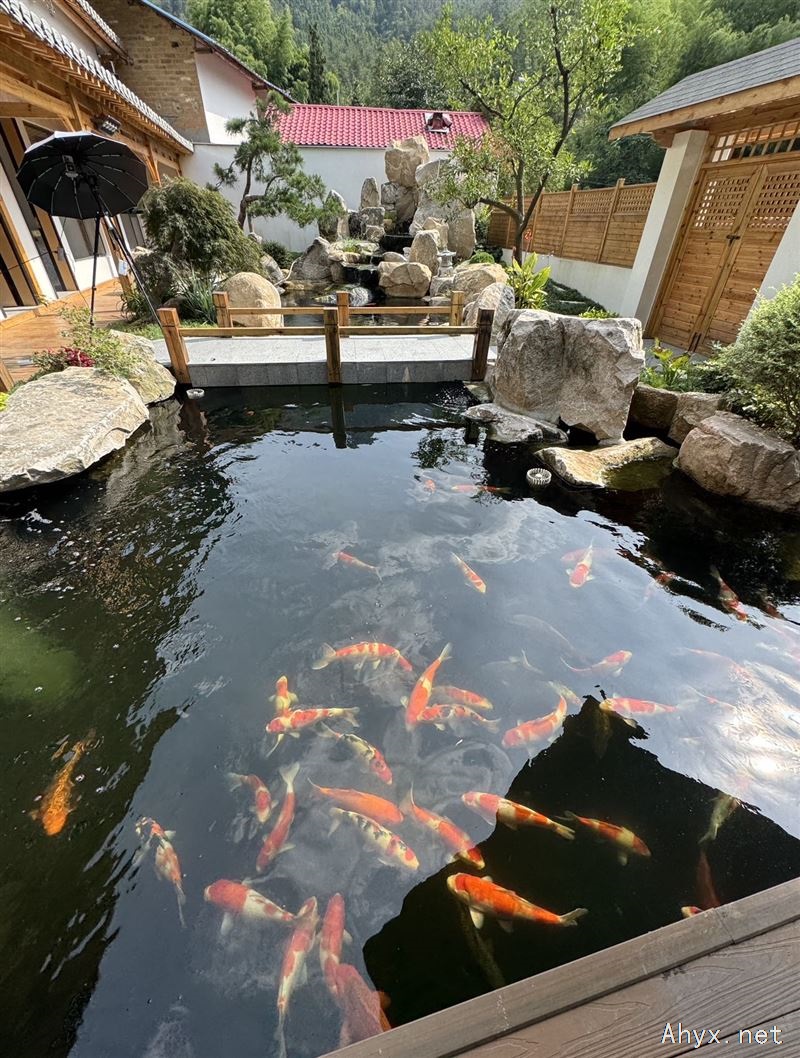 招聘视频拍摄剪辑