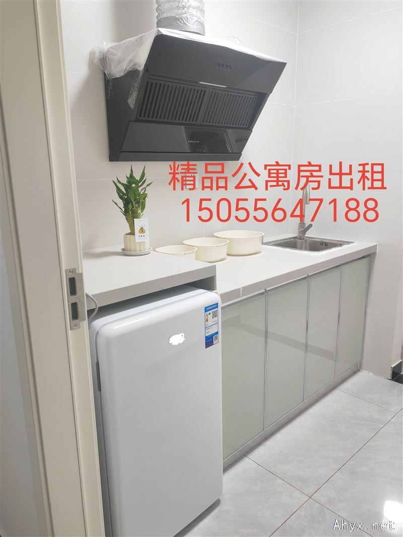 城西  精品公寓房 出租