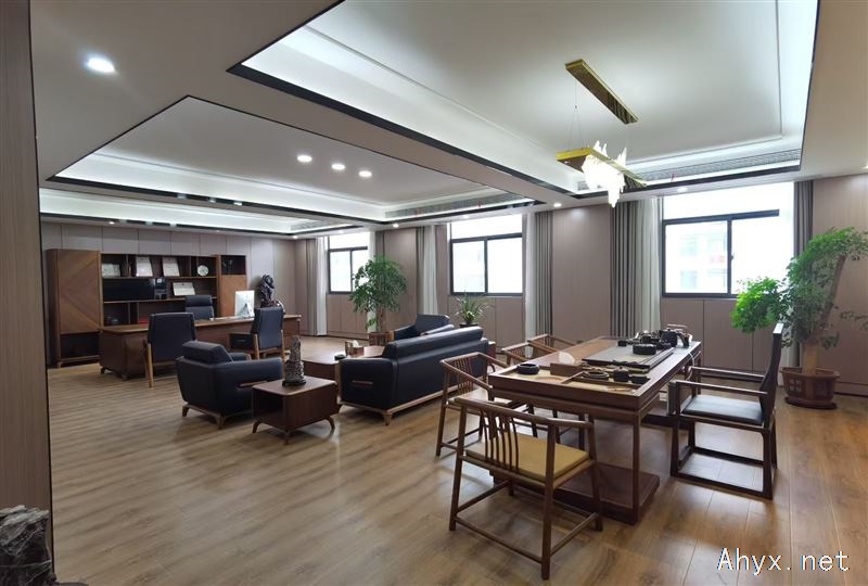 岳西精装办公楼办公室出租